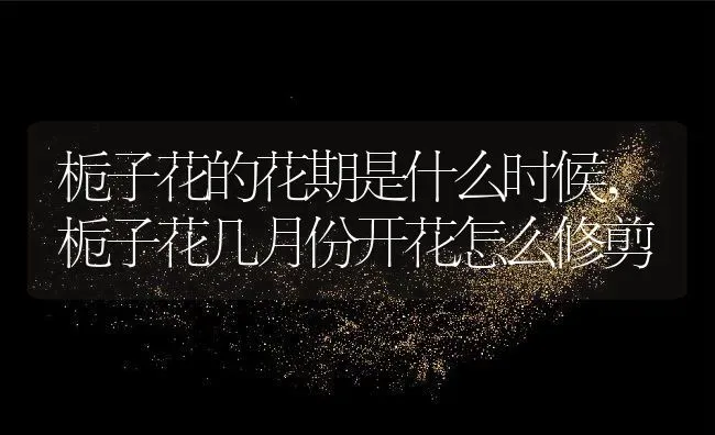栀子花的花期是什么时候,栀子花几月份开花怎么修剪 | 养殖常见问题