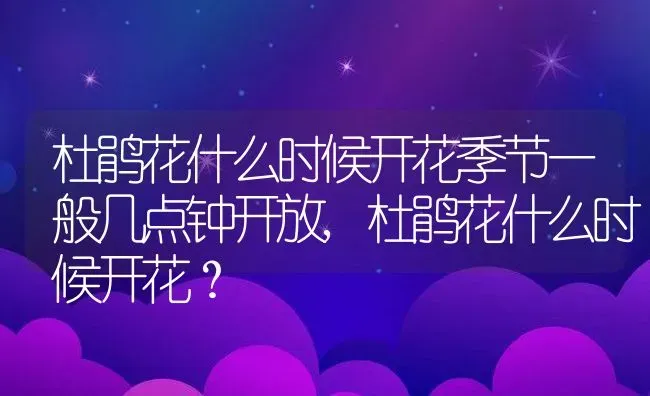 杜鹃花什么时候开花季节一般几点钟开放,杜鹃花什么时候开花？ | 养殖常见问题