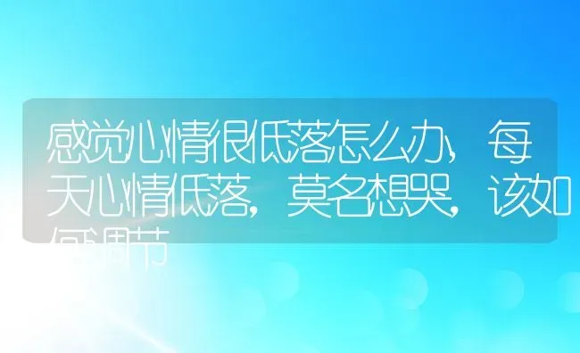 感觉心情很低落怎么办,每天心情低落，莫名想哭，该如何调节 | 养殖常见问题