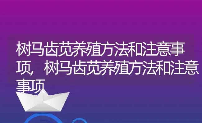 树马齿苋养殖方法和注意事项,树马齿苋养殖方法和注意事项 | 养殖常见问题