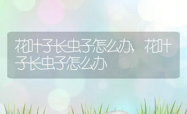 花叶子长虫子怎么办,花叶子长虫子怎么办 | 养殖常见问题