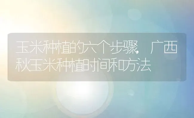玉米种植的六个步骤,广西秋玉米种植时间和方法 | 养殖常见问题