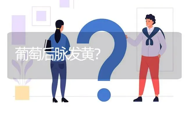 葡萄后脉发黄? | 养殖问题解答