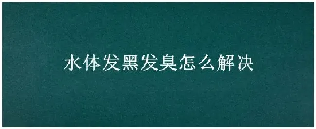 水体发黑发臭怎么解决 | 三农答疑