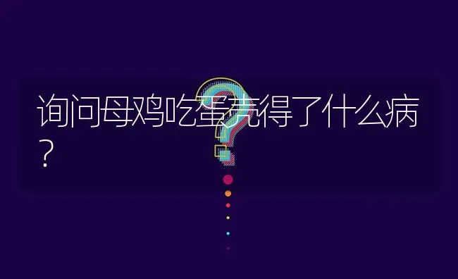 询问母鸡吃蛋壳得了什么病? | 养殖问题解答