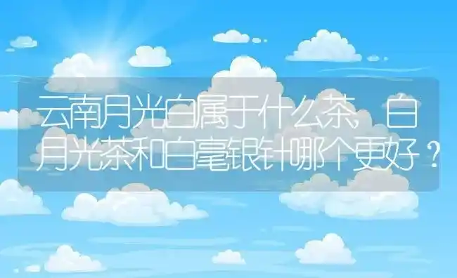 云南月光白属于什么茶,白月光茶和白毫银针哪个更好？ | 养殖常见问题