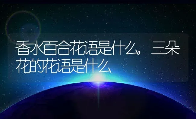 香水百合花语是什么,三朵花的花语是什么 | 养殖常见问题