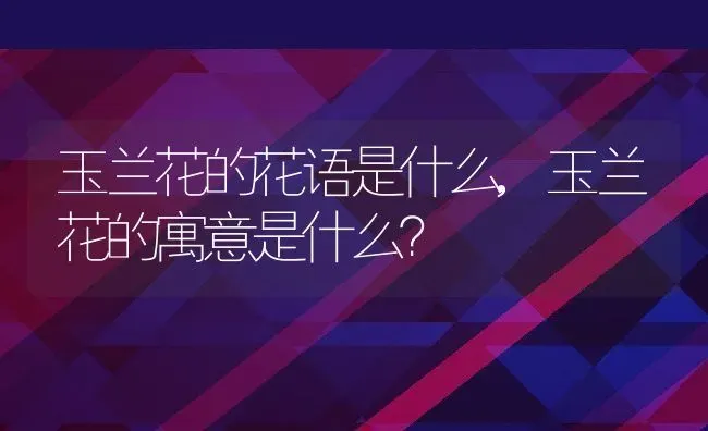 玉兰花的花语是什么,玉兰花的寓意是什么？ | 养殖常见问题