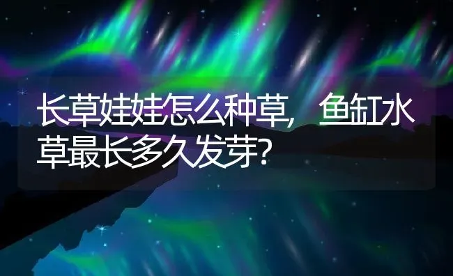 长草娃娃怎么种草,鱼缸水草最长多久发芽？ | 养殖常见问题