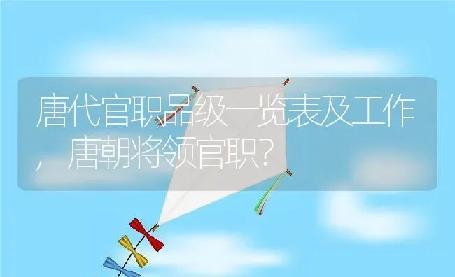 唐代官职品级一览表及工作,唐朝将领官职？ | 养殖常见问题