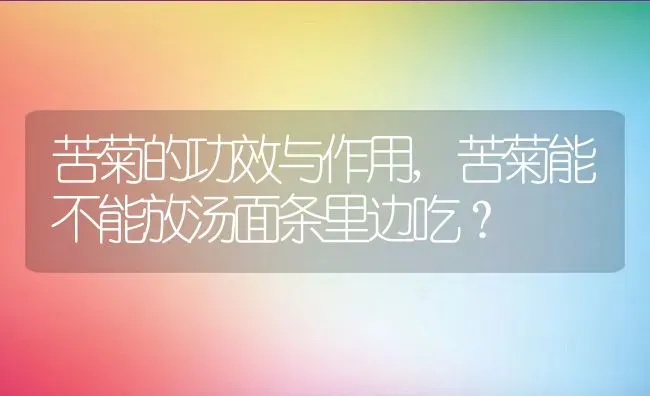 苦菊的功效与作用,苦菊能不能放汤面条里边吃？ | 养殖常见问题