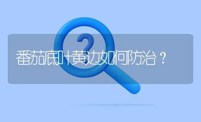 番茄底叶黄边如何防治? | 养殖问题解答