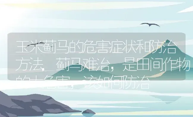 钱串子花有毒吗,钱串子花有毒吗 | 养殖常见问题
