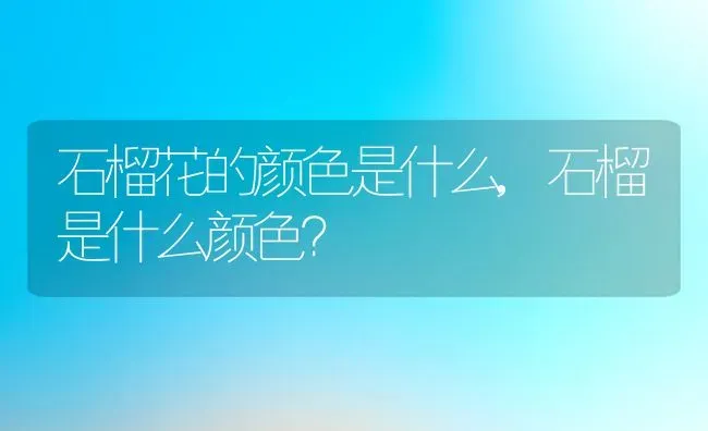 石榴花的颜色是什么,石榴是什么颜色？ | 养殖常见问题