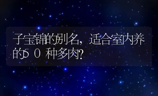 子宝锦的别名,适合室内养的50种多肉？ | 养殖常见问题