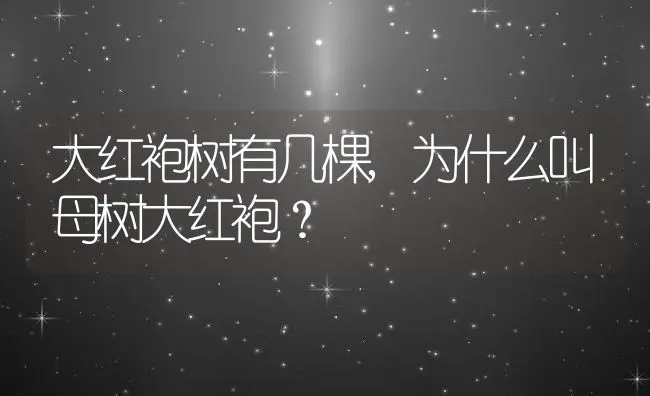 大红袍树有几棵,为什么叫母树大红袍？ | 养殖常见问题