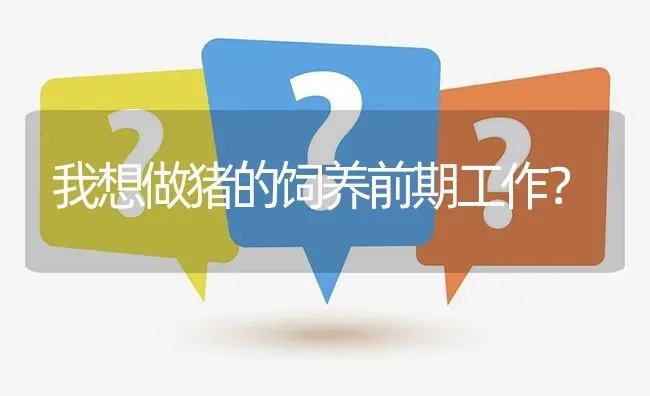 我想做猪的饲养前期工作? | 养殖问题解答