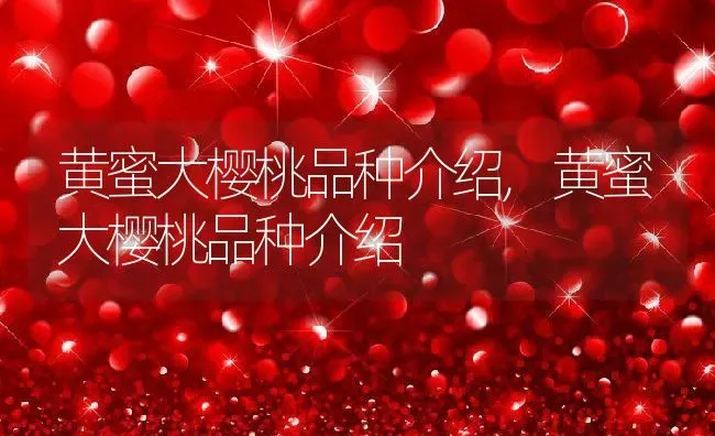 黄蜜大樱桃品种介绍,黄蜜大樱桃品种介绍 | 养殖常见问题
