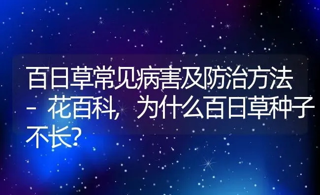 百日草常见病害及防治方法–花百科,为什么百日草种子不长？ | 养殖常见问题