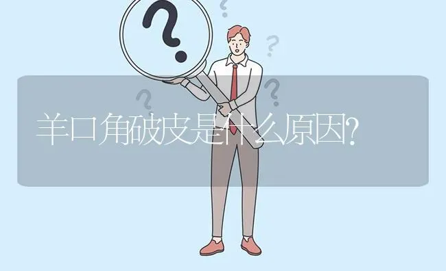 羊口角破皮是什么原因? | 养殖问题解答