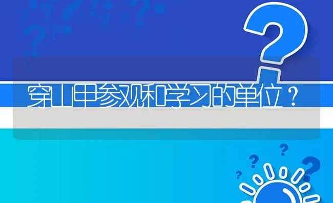 穿山甲参观和学习的单位? | 养殖问题解答