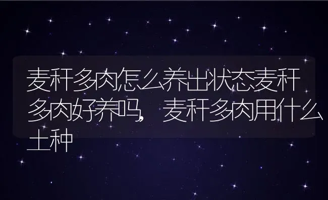 麦秆多肉怎么养出状态麦秆多肉好养吗,麦秆多肉用什么土种 | 养殖常见问题