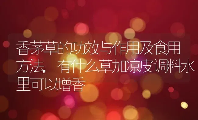 嫁接的蟹爪兰夏季如何养护,叶仙嫁接蟹爪兰的后期养护？ | 养殖常见问题