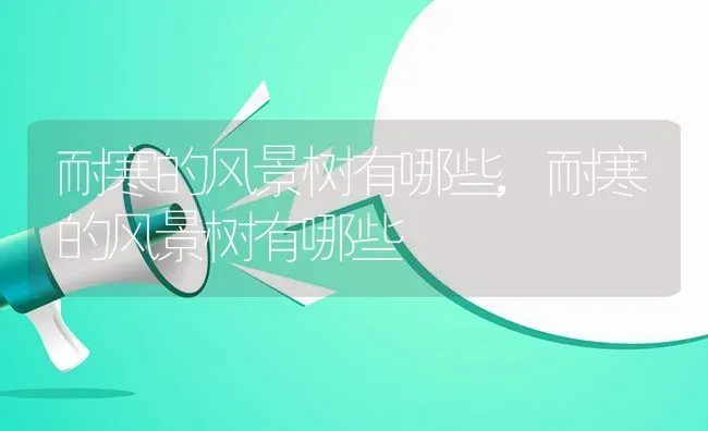 耐寒的风景树有哪些,耐寒的风景树有哪些 | 养殖常见问题
