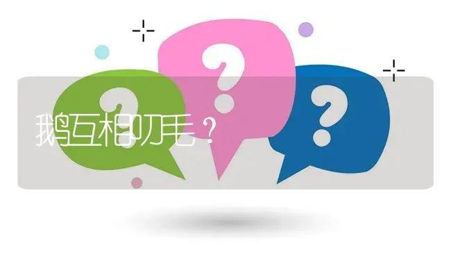 鹅互相叨毛? | 养殖问题解答