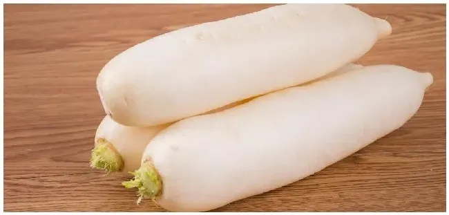 种植白萝卜注意事项 | 农业答疑