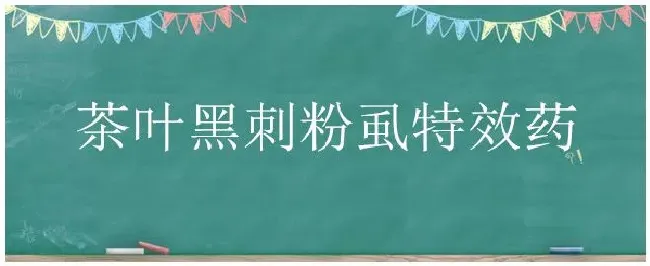茶叶黑刺粉虱特效药 | 三农答疑