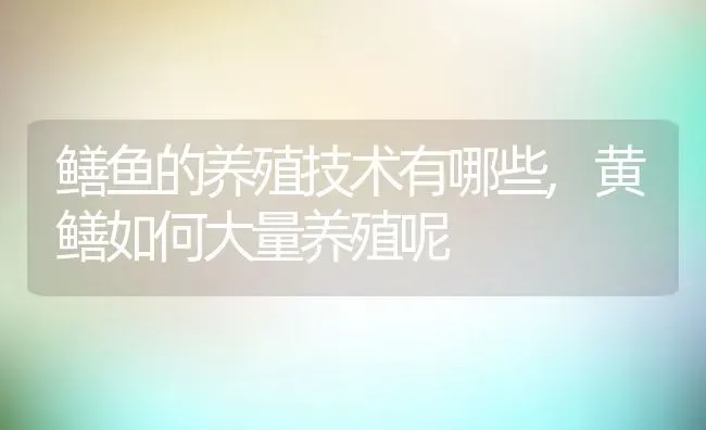 鳝鱼的养殖技术有哪些,黄鳝如何大量养殖呢 | 养殖常见问题