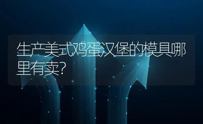 生产美式鸡蛋汉堡的模具哪里有卖? | 养殖问题解答