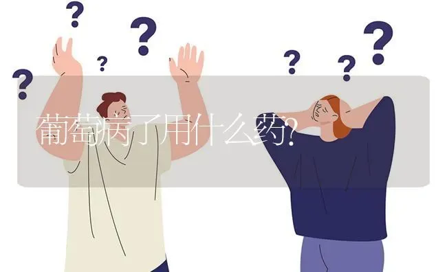 葡萄病了用什么药? | 养殖问题解答