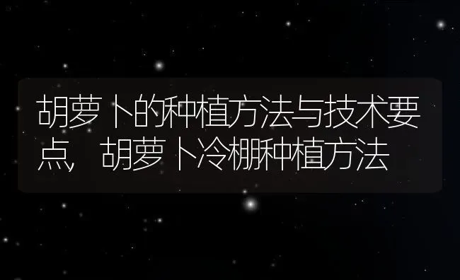 胡萝卜的种植方法与技术要点,胡萝卜冷棚种植方法 | 养殖常见问题