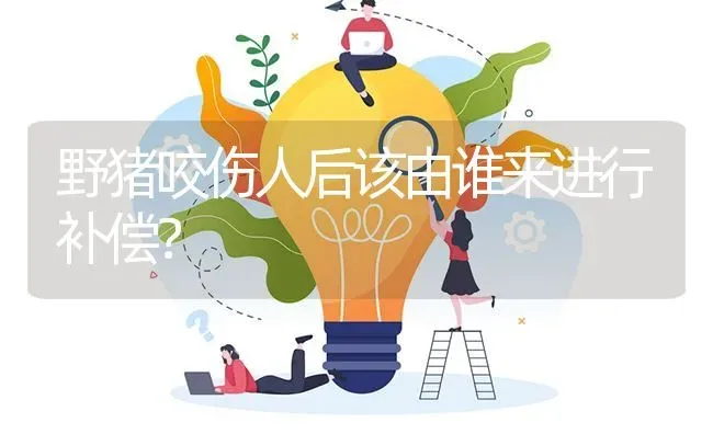 我想养肉兔,现在应该准备什么? | 养殖问题解答