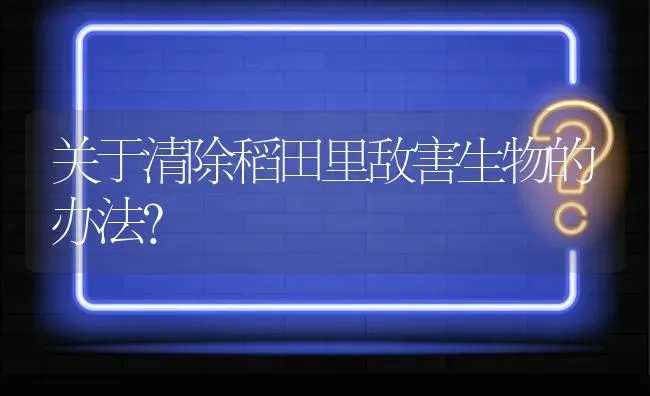 关于清除稻田里敌害生物的办法? | 养殖问题解答