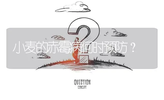 小麦的赤霉病何时预防? | 养殖问题解答