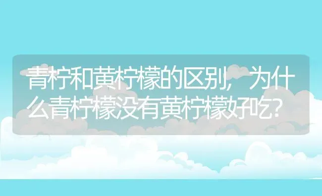 青柠和黄柠檬的区别,为什么青柠檬没有黄柠檬好吃？ | 养殖常见问题