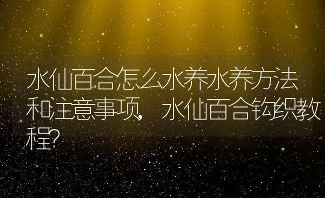 水仙百合怎么水养水养方法和注意事项,水仙百合钩织教程？ | 养殖常见问题