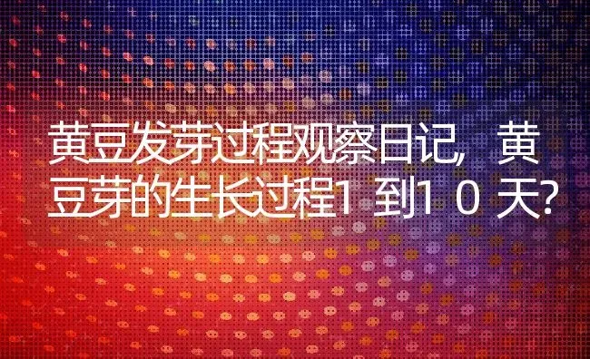 黄豆发芽过程观察日记,黄豆芽的生长过程1到10天？ | 养殖常见问题