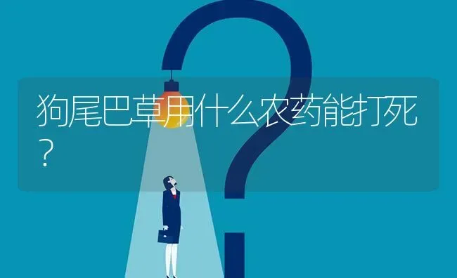 狗尾巴草用什么农药能打死? | 养殖问题解答