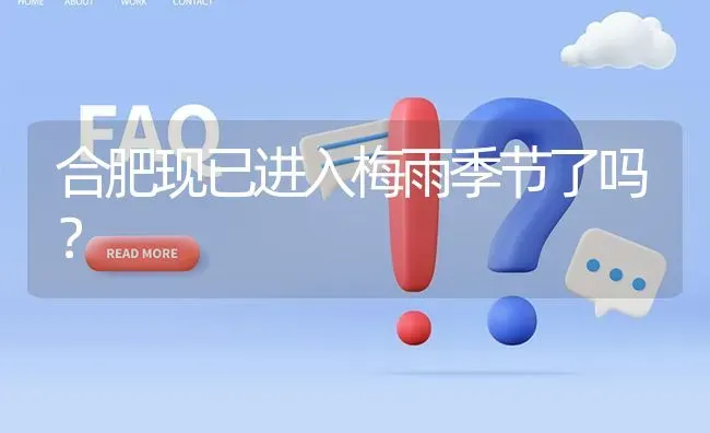 合肥现已进入梅雨季节了吗? | 养殖问题解答