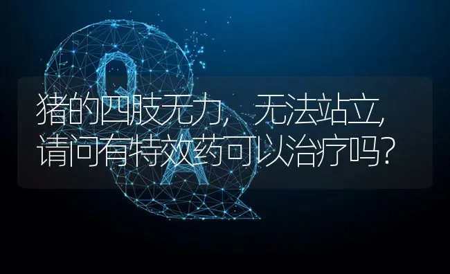猪的四肢无力,无法站立,请问有特效药可以治疗吗? | 养殖问题解答