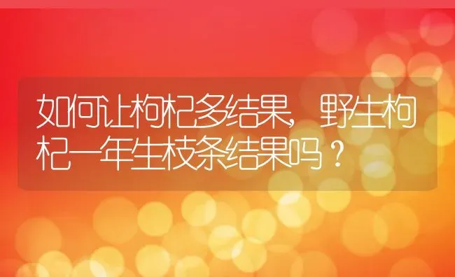 如何让枸杞多结果,野生枸杞一年生枝条结果吗？ | 养殖常见问题