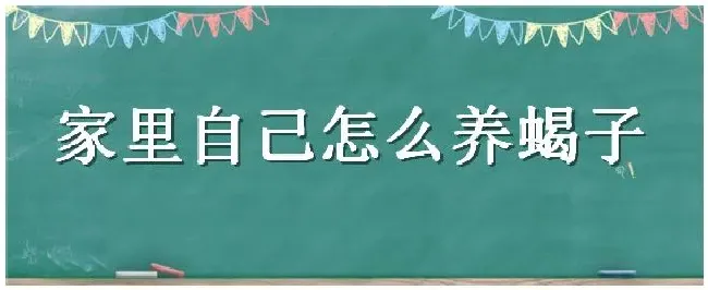 家里自己怎么养蝎子 | 农业答疑