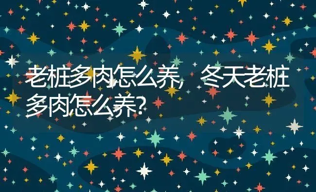 老桩多肉怎么养,冬天老桩多肉怎么养？ | 养殖常见问题