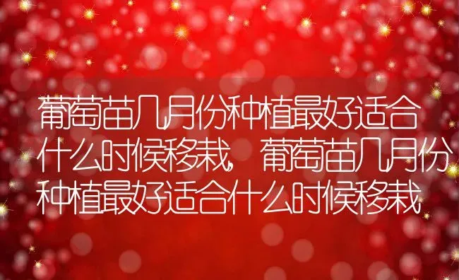 噻唑膦的使用方法及注意事项,噻唑膦的使用方法及注意事项 | 养殖常见问题