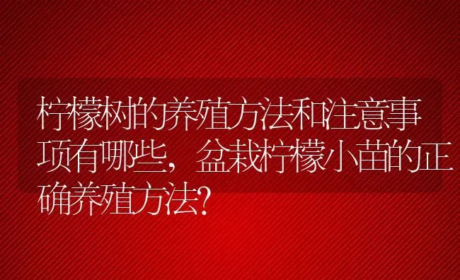 柠檬树的养殖方法和注意事项有哪些,盆栽柠檬小苗的正确养殖方法？ | 养殖常见问题