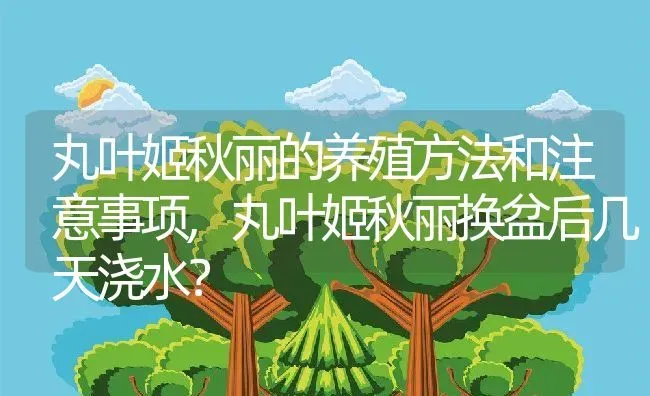 丸叶姬秋丽的养殖方法和注意事项,丸叶姬秋丽换盆后几天浇水？ | 养殖常见问题